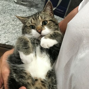 Fundraising Page: Jillian Butler